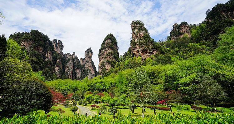 張家界2 張家界2