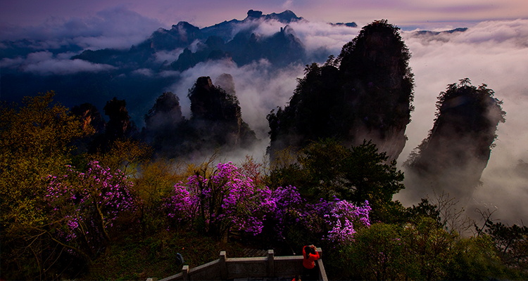 黃石寨1 黃石寨1